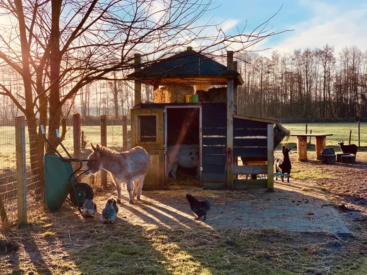 Camping Vossenberg - Op De Veluwe! Epe Ngoại thất bức ảnh